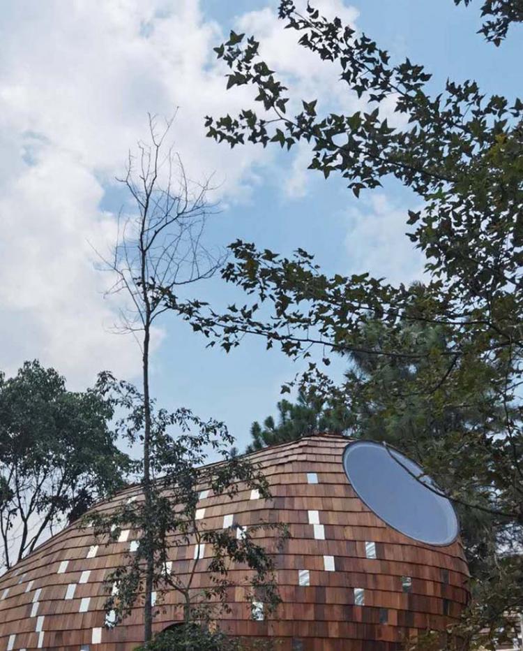 BIM建筑|种子木屋 / 休耕建筑 建筑鉴赏 第25张-BIM建筑网 BIM建筑|种子木屋 / 休耕建筑 建筑鉴赏 第25张