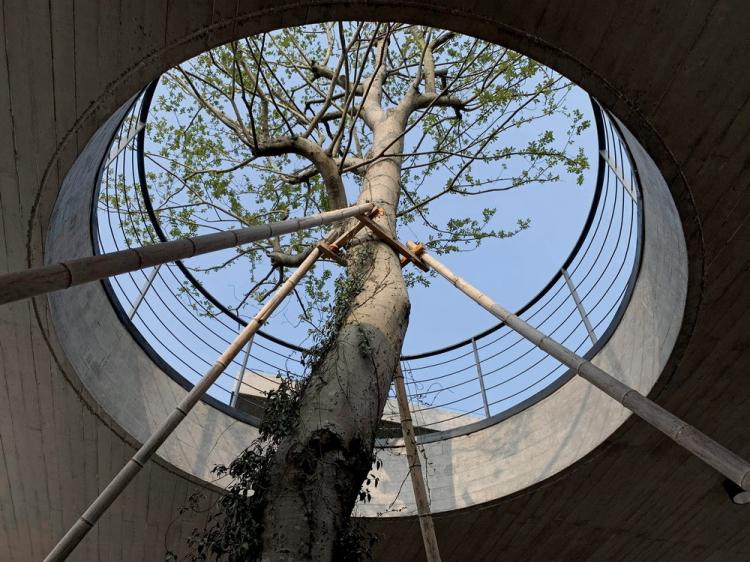 BIM建筑|界定的风景:渔乡茶舍 / 孟凡浩-gad x line+ 建筑鉴赏 第21张-BIM建筑网 BIM建筑|界定的风景:渔乡茶舍 / 孟凡浩-gad x line+ 建筑鉴赏 第21张