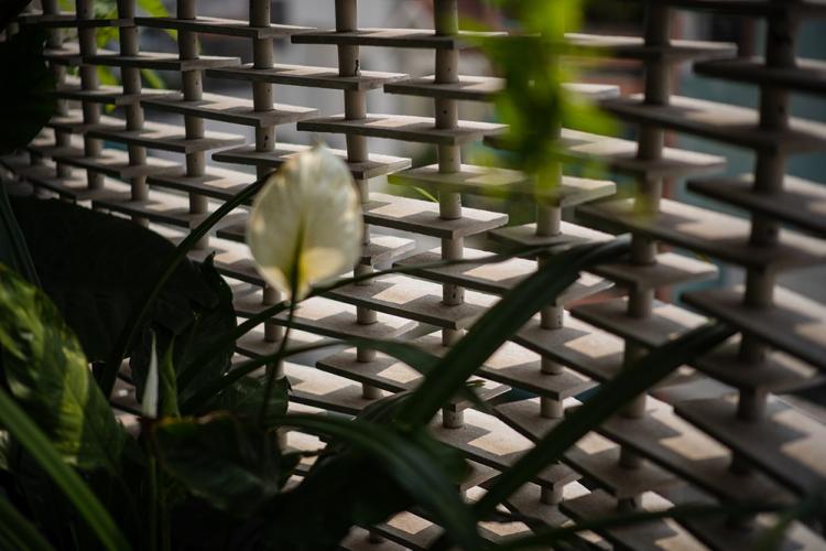 BIM建筑|胡志明市花小姐之家,原始之中一簇自然绿 / H.2 建筑鉴赏 第13张-BIM建筑网 BIM建筑|胡志明市花小姐之家,原始之中一簇自然绿 / H.2 建筑鉴赏 第13张