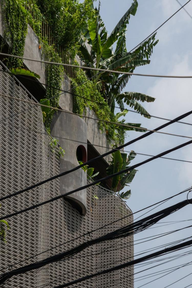 BIM建筑|胡志明市花小姐之家,原始之中一簇自然绿 / H.2 建筑鉴赏 第12张-BIM建筑网 BIM建筑|胡志明市花小姐之家,原始之中一簇自然绿 / H.2 建筑鉴赏 第12张