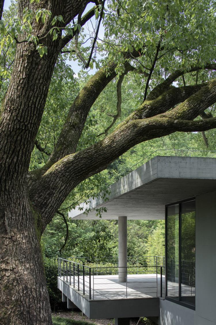 BIM建筑|界定的风景:渔乡茶舍 / 孟凡浩-gad x line+ 建筑鉴赏 第1张-BIM建筑网 BIM建筑|界定的风景:渔乡茶舍 / 孟凡浩-gad x line+ 建筑鉴赏 第1张