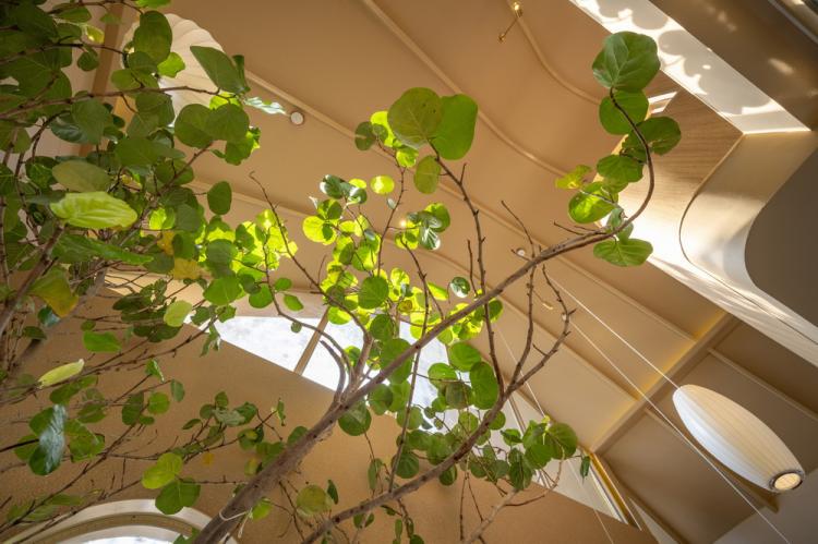 BIM建筑|阿瑜陀耶特瓦咖啡馆 / BodinChapa Architects 建筑鉴赏 第9张-BIM建筑网 BIM建筑|阿瑜陀耶特瓦咖啡馆 / BodinChapa Architects 建筑鉴赏 第9张