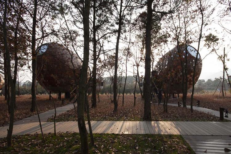 BIM建筑|种子木屋 / 休耕建筑 建筑鉴赏 第6张-BIM建筑网 BIM建筑|种子木屋 / 休耕建筑 建筑鉴赏 第6张