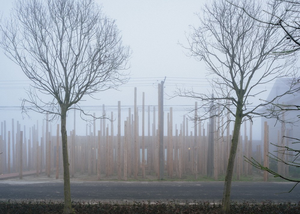 BIM建筑|树林里的图书室:自然向建筑的转译/空间里 BIM建筑|树林里的图书室:自然向建筑的转译/空间里