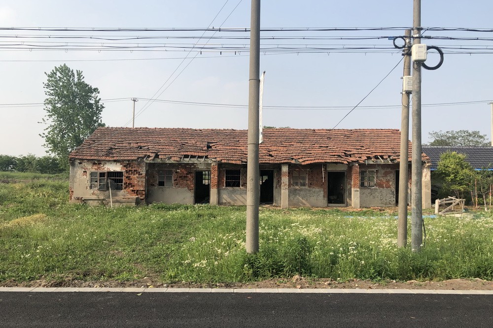 BIM建筑|树林里的图书室:自然向建筑的转译/空间里 BIM建筑|树林里的图书室:自然向建筑的转译/空间里