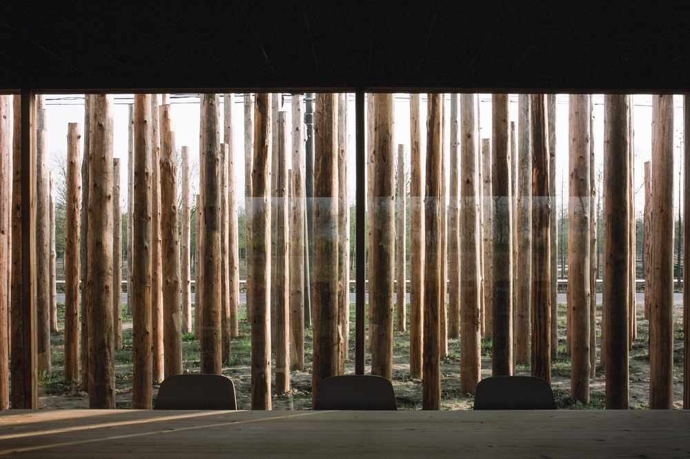 BIM建筑|树林里的图书室:自然向建筑的转译/空间里 BIM建筑|树林里的图书室:自然向建筑的转译/空间里