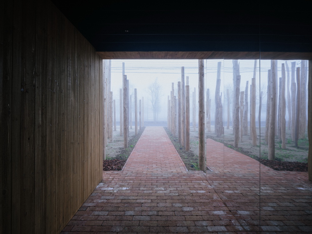 BIM建筑|树林里的图书室:自然向建筑的转译/空间里 BIM建筑|树林里的图书室:自然向建筑的转译/空间里