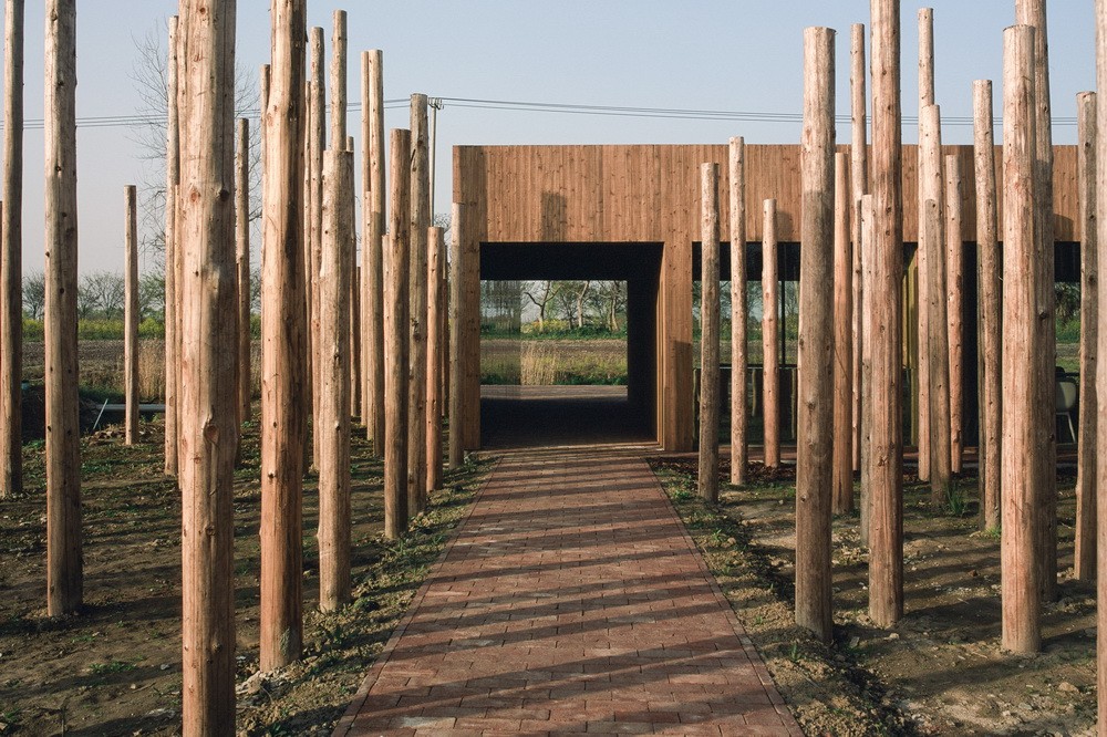 BIM建筑|树林里的图书室:自然向建筑的转译/空间里 BIM建筑|树林里的图书室:自然向建筑的转译/空间里