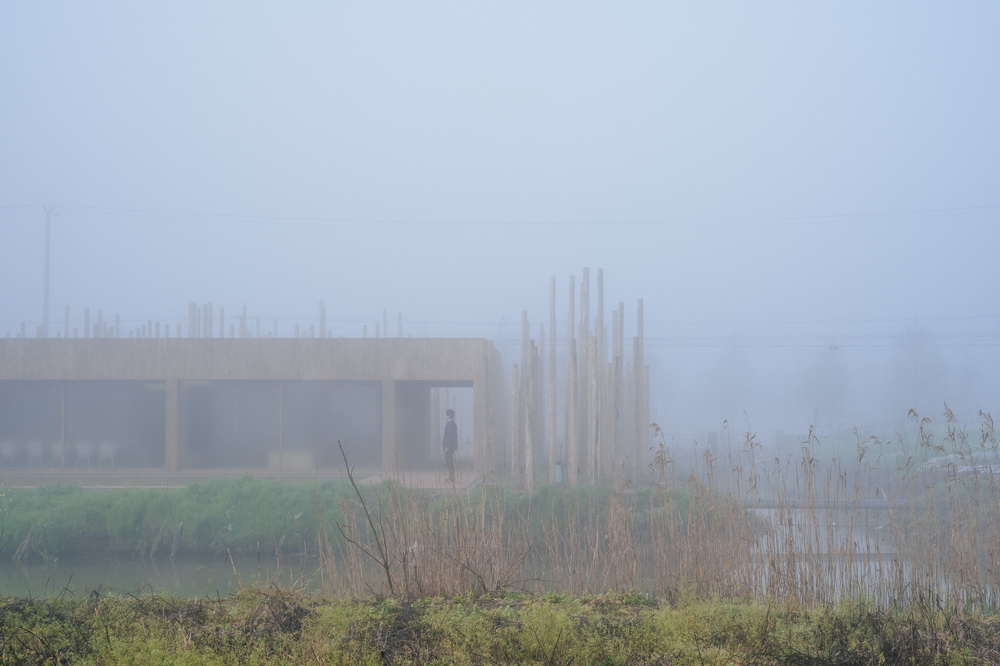 BIM建筑|树林里的图书室:自然向建筑的转译/空间里 BIM建筑|树林里的图书室:自然向建筑的转译/空间里