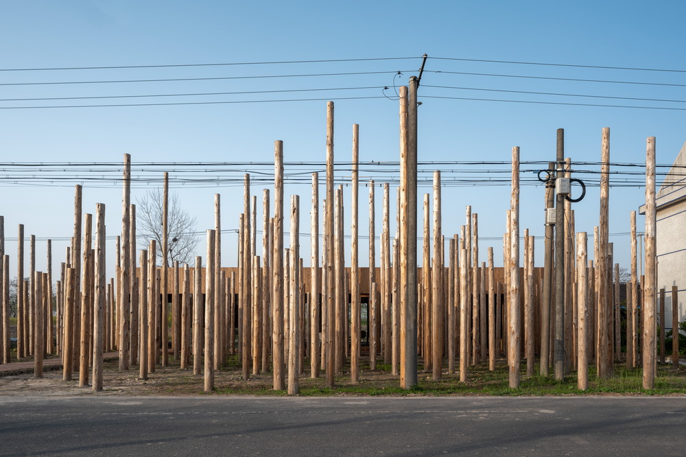 BIM建筑|树林里的图书室:自然向建筑的转译/空间里 BIM建筑|树林里的图书室:自然向建筑的转译/空间里