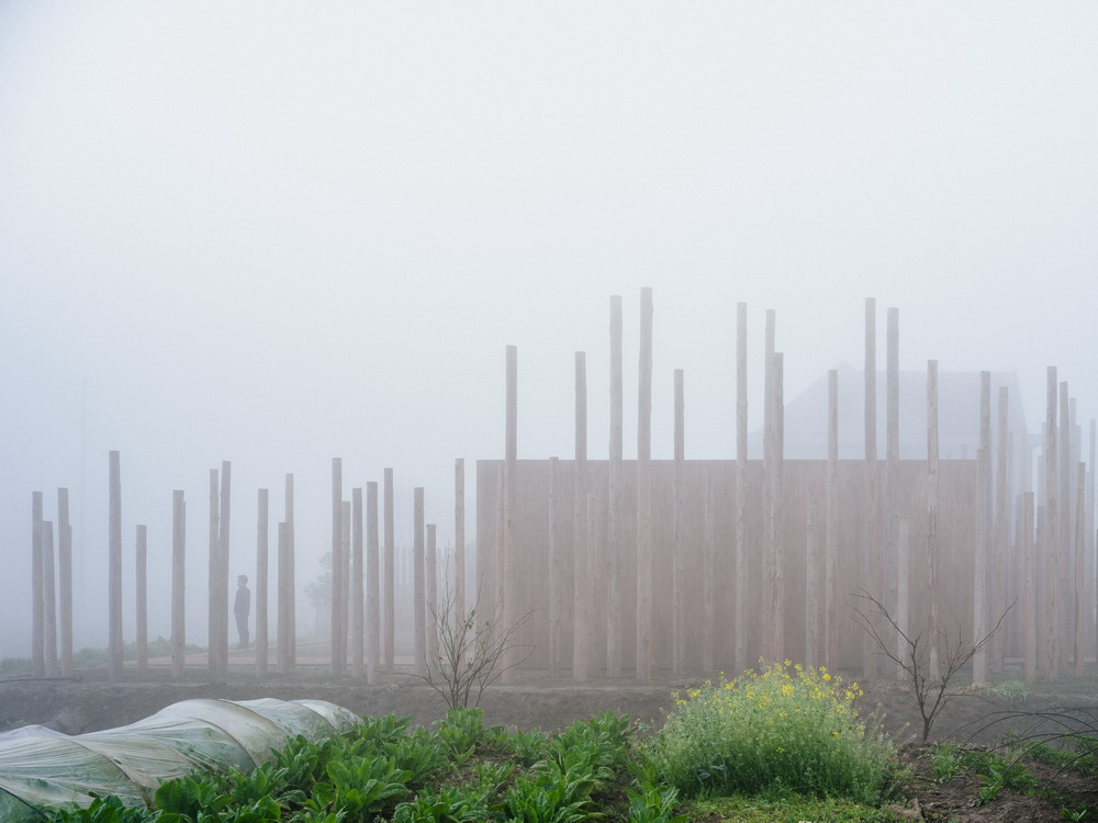 BIM建筑|树林里的图书室:自然向建筑的转译/空间里 BIM建筑|树林里的图书室:自然向建筑的转译/空间里