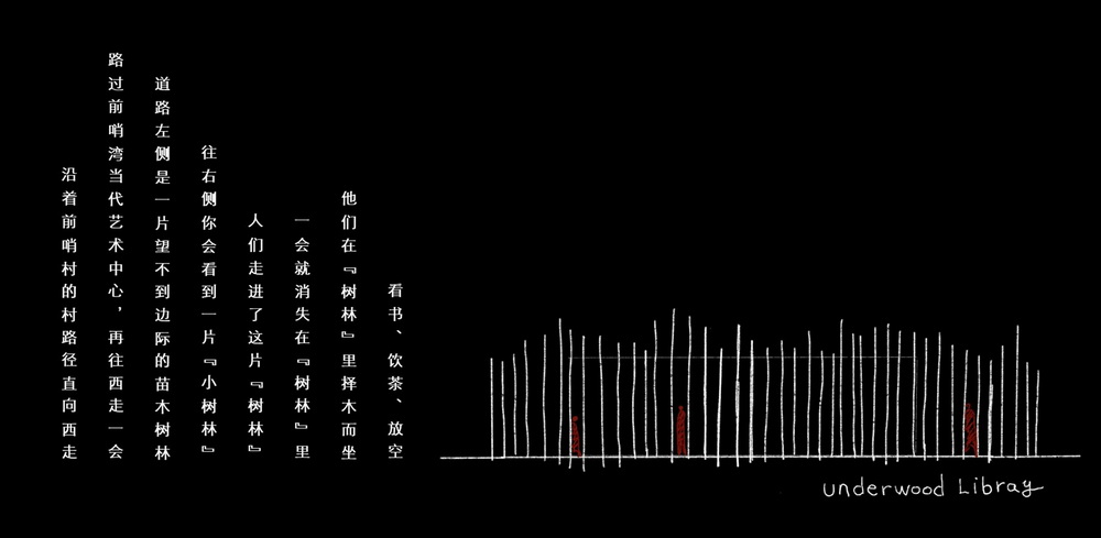 BIM建筑|树林里的图书室:自然向建筑的转译/空间里 BIM建筑|树林里的图书室:自然向建筑的转译/空间里