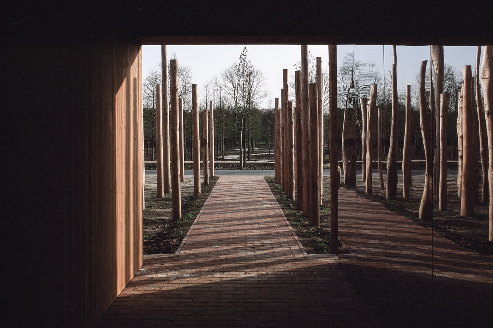 BIM建筑|树林里的图书室:自然向建筑的转译/空间里 BIM建筑|树林里的图书室:自然向建筑的转译/空间里