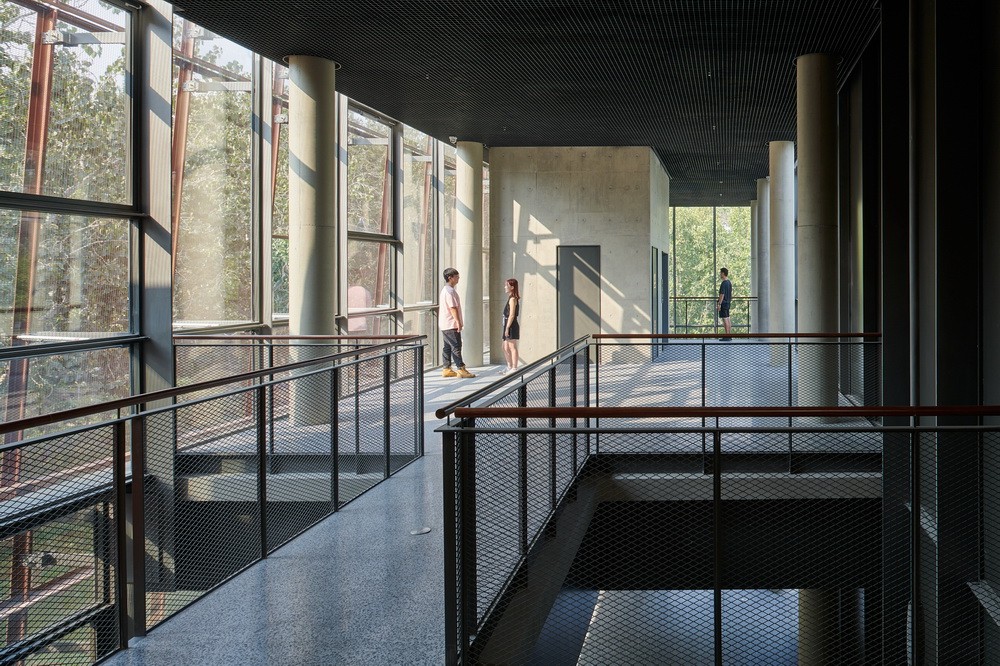 BIM建筑|南开大学海冰楼/直向建筑 BIM建筑|南开大学海冰楼/直向建筑