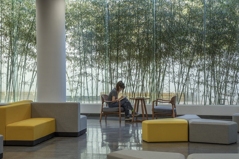 BIM建筑|中央美术学院燕郊校区图书馆改造 / 三文建筑 / 何崴工作室 BIM建筑|中央美术学院燕郊校区图书馆改造 / 三文建筑 / 何崴工作室