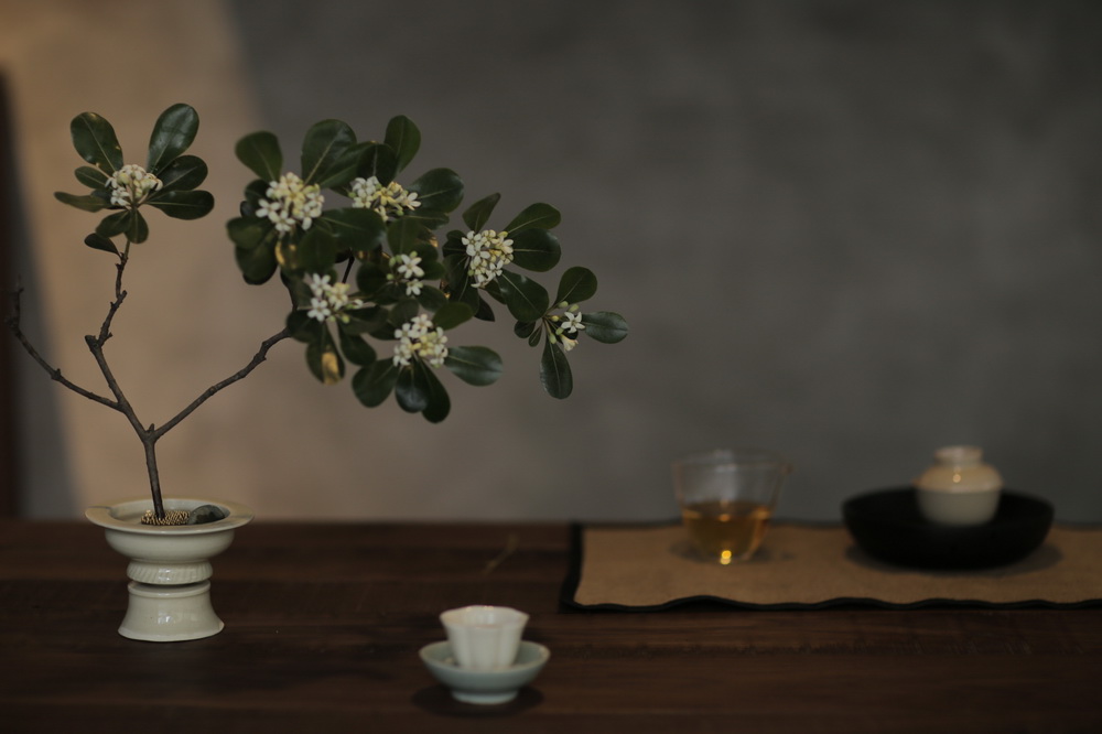 BIM建筑|在成都城中安放一片山林,是以不知春斋茶宿/ 时地建筑 BIM建筑|在成都城中安放一片山林,是以不知春斋茶宿/ 时地建筑