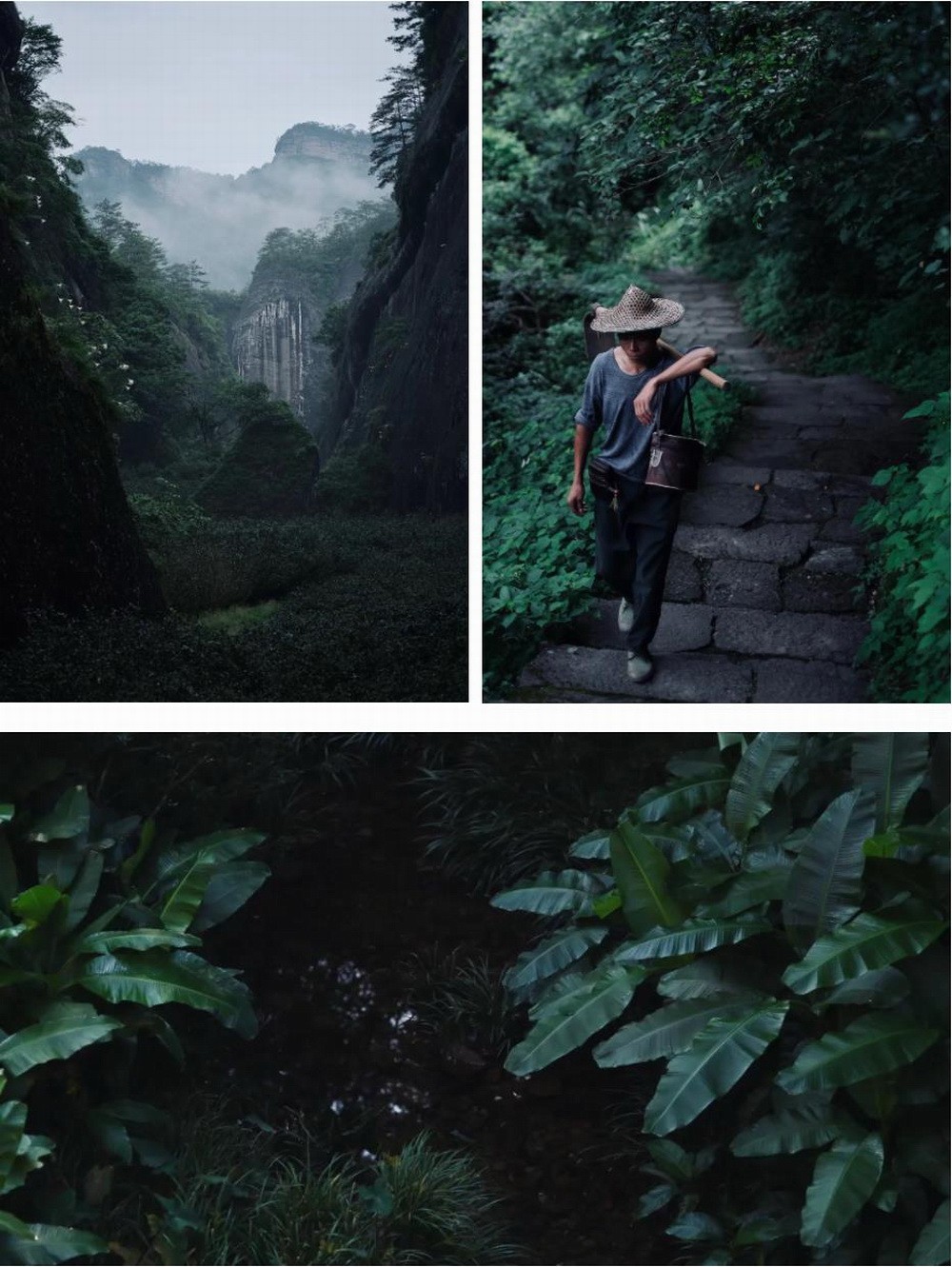 BIM建筑|在成都城中安放一片山林,是以不知春斋茶宿/ 时地建筑 BIM建筑|在成都城中安放一片山林,是以不知春斋茶宿/ 时地建筑