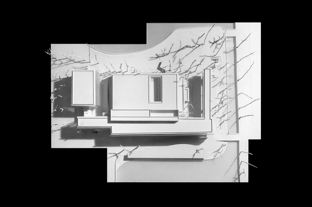 BIM建筑|南开大学海冰楼/直向建筑 BIM建筑|南开大学海冰楼/直向建筑
