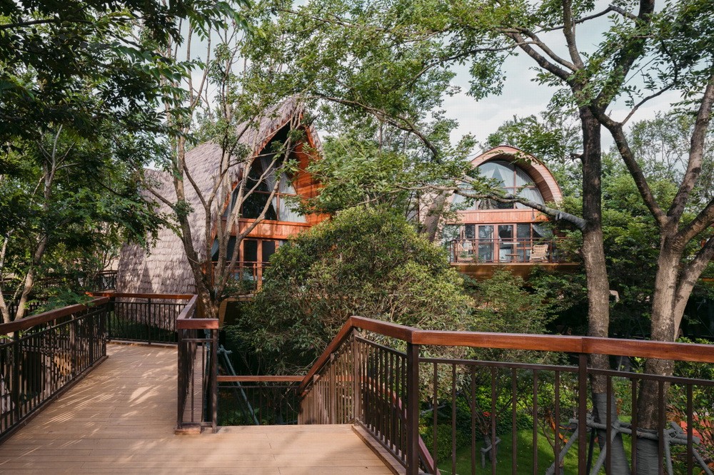 BIM建筑|乐贝树屋/aoe事建组 BIM建筑|乐贝树屋/aoe事建组