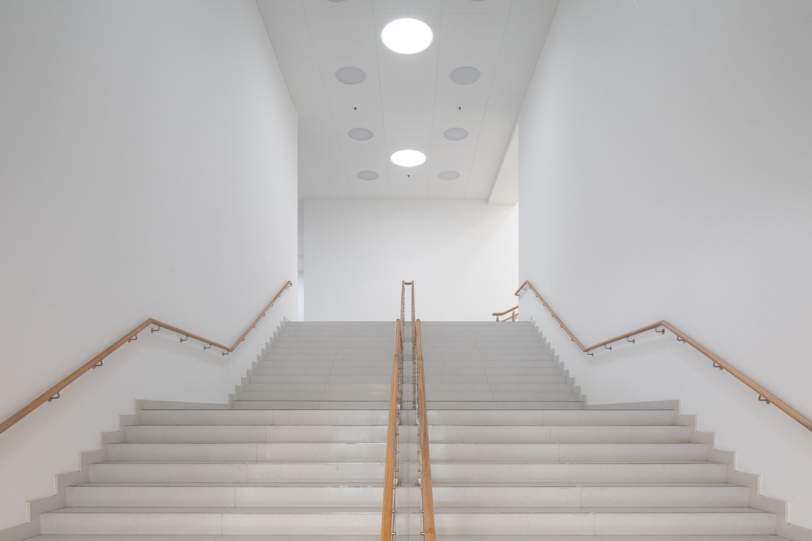 BIM建筑|鞑靼斯坦共和国国家图书馆 / XOPA BIM建筑|鞑靼斯坦共和国国家图书馆 / XOPA