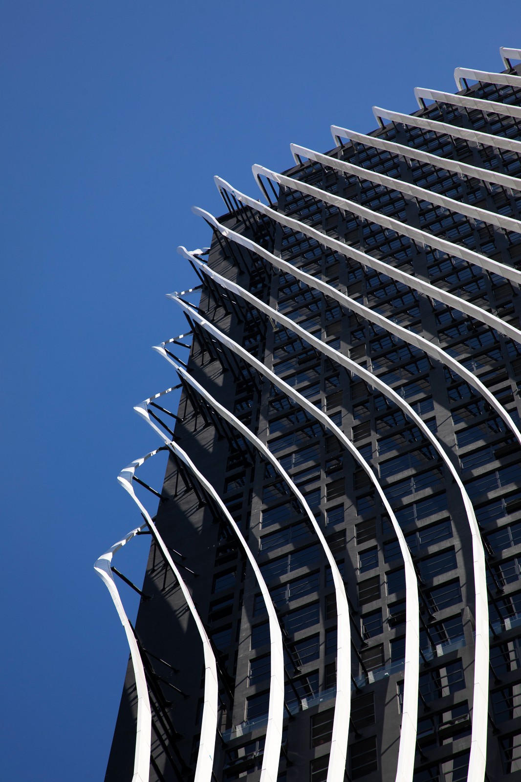 BIM建筑|Arté MK超高层住宅酒店综合体 / SPARK BIM建筑|Arté MK超高层住宅酒店综合体 / SPARK