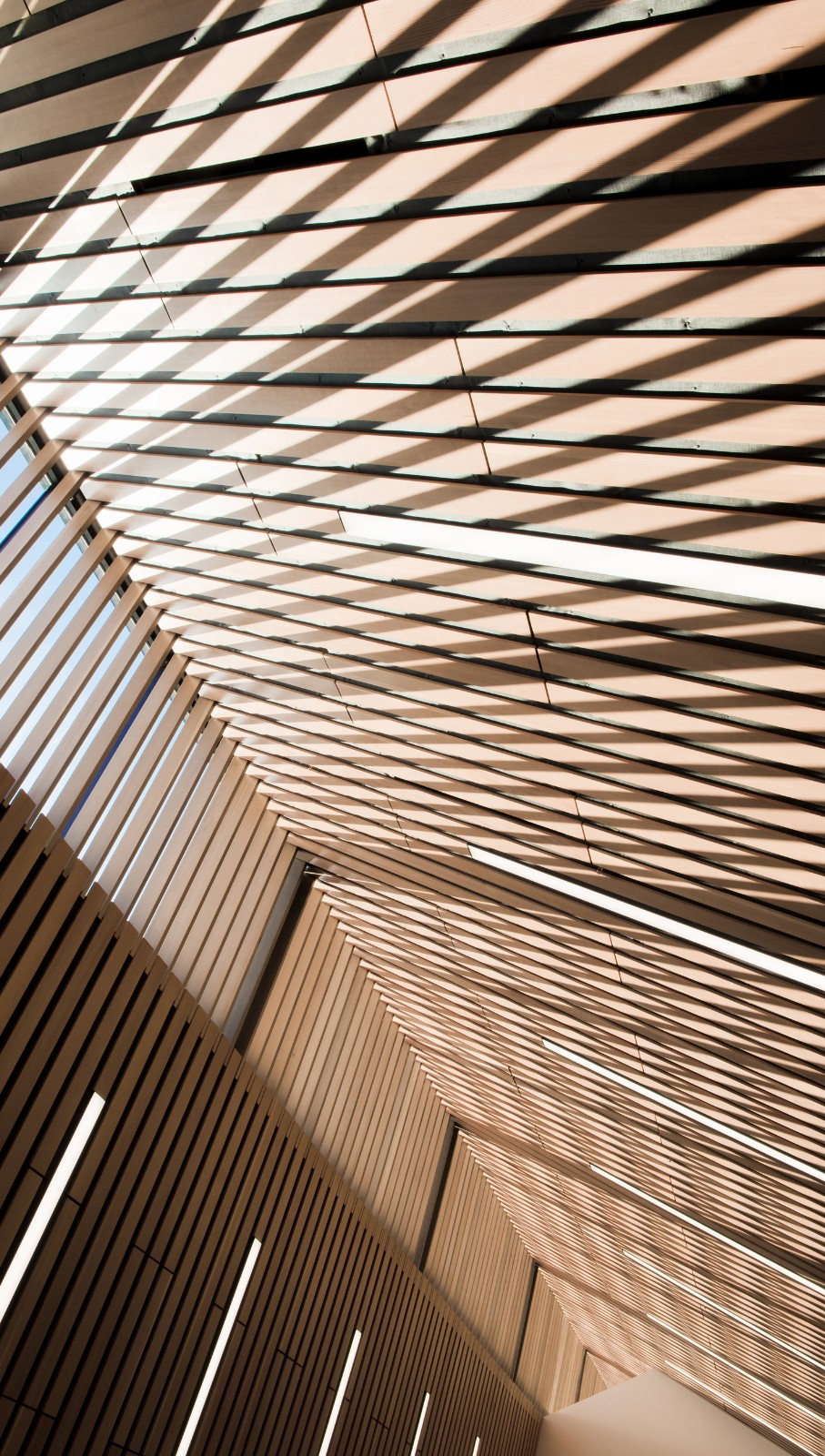 BIM建筑|卡普兰诺图书馆 / Patkau Architects + Group2 BIM建筑|卡普兰诺图书馆 / Patkau Architects + Group2