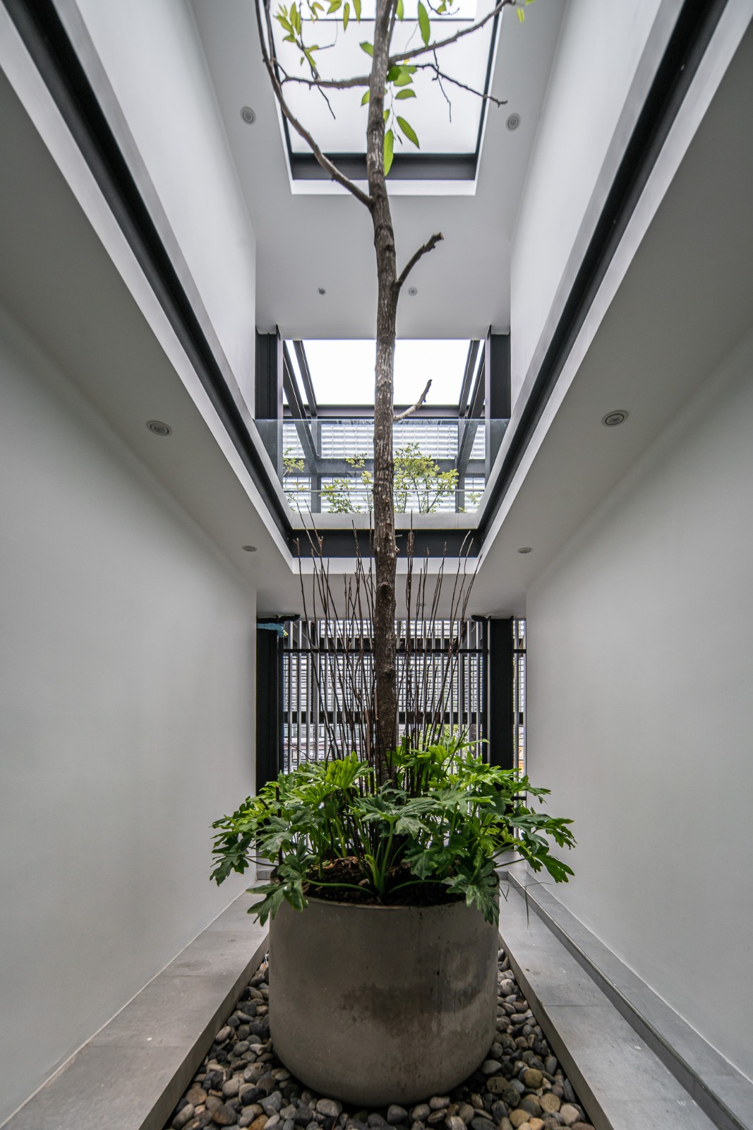 BIM建筑|玻璃砖构筑的美容诊所 / Sute Architect BIM建筑|玻璃砖构筑的美容诊所 / Sute Architect