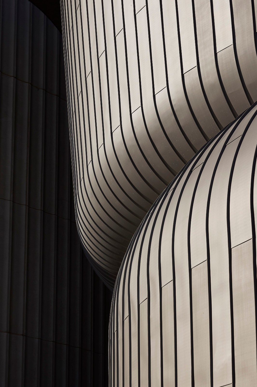 BIM建筑|迪肯大学法学院大楼 / 伍兹贝格 BIM建筑|迪肯大学法学院大楼 / 伍兹贝格