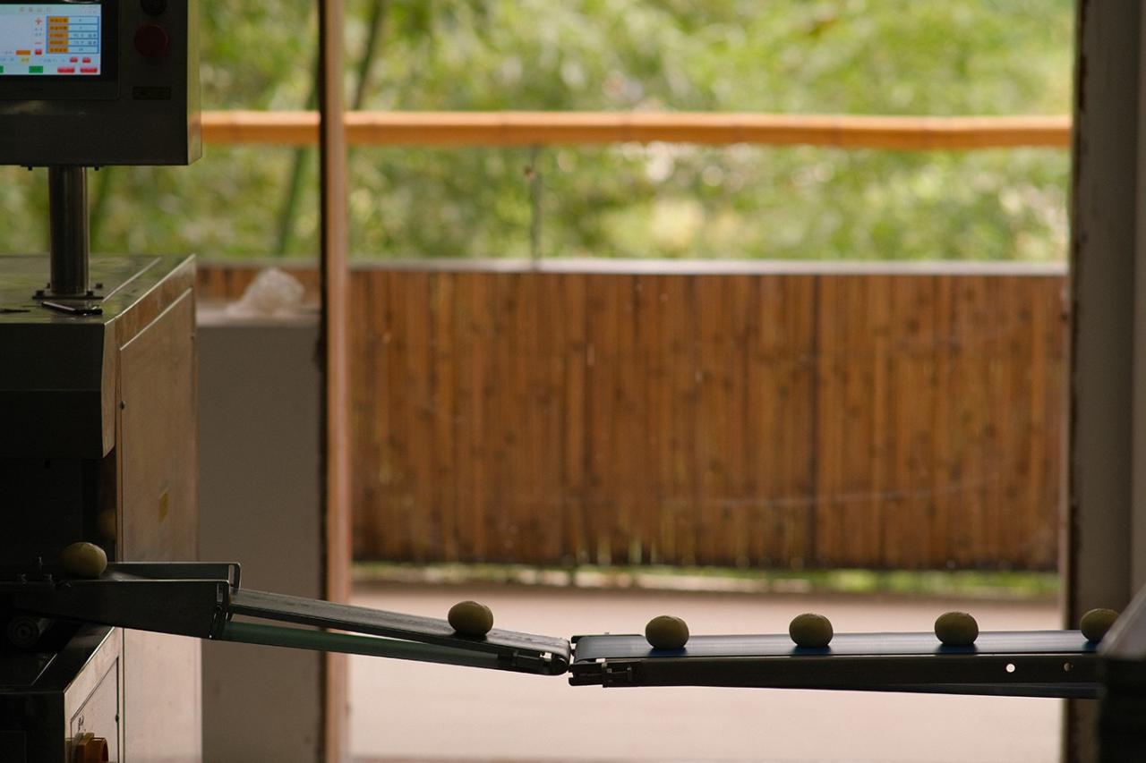 BIM建筑|在半山崖的废弃鸡棚,用峰峦“盖”一座共享工厂 / 时地建筑 BIM建筑|在半山崖的废弃鸡棚,用峰峦“盖”一座共享工厂 / 时地建筑