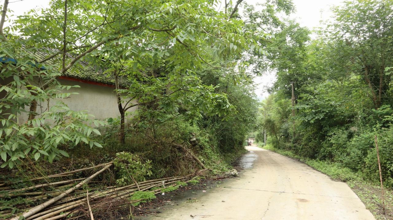 BIM建筑|在半山崖的废弃鸡棚,用峰峦“盖”一座共享工厂 / 时地建筑 BIM建筑|在半山崖的废弃鸡棚,用峰峦“盖”一座共享工厂 / 时地建筑