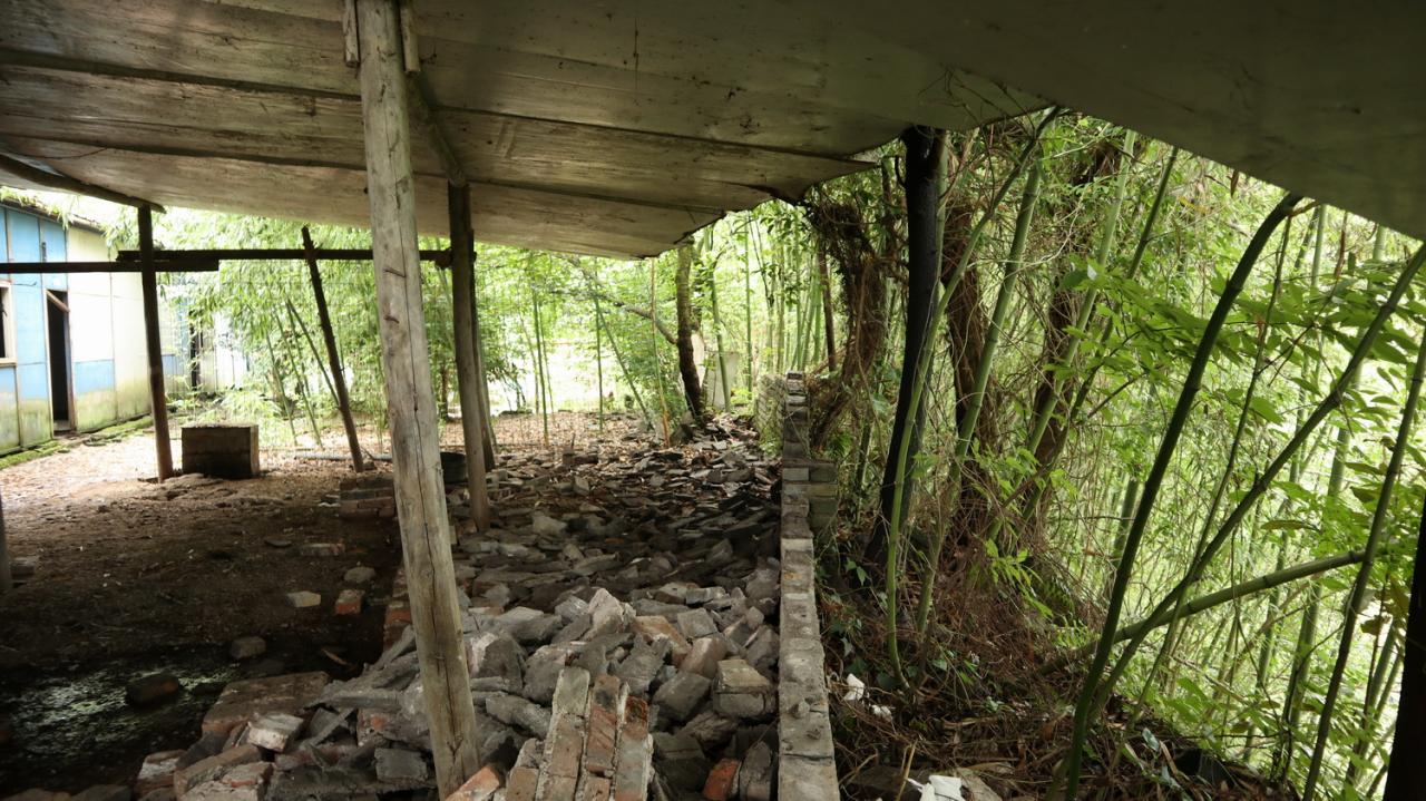 BIM建筑|在半山崖的废弃鸡棚,用峰峦“盖”一座共享工厂 / 时地建筑 BIM建筑|在半山崖的废弃鸡棚,用峰峦“盖”一座共享工厂 / 时地建筑