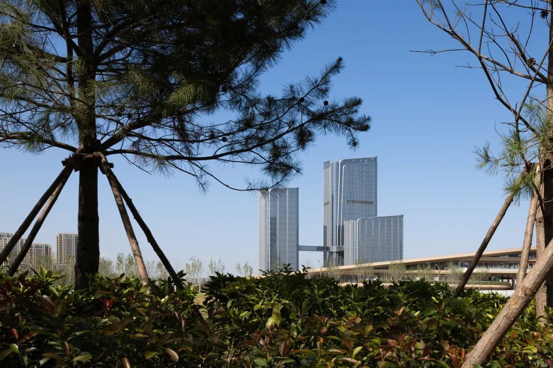 最美全运会完美收官!奥体中轴之门继续绽放新的生命力! 最美全运会完美收官!奥体中轴之门继续绽放新的生命力!