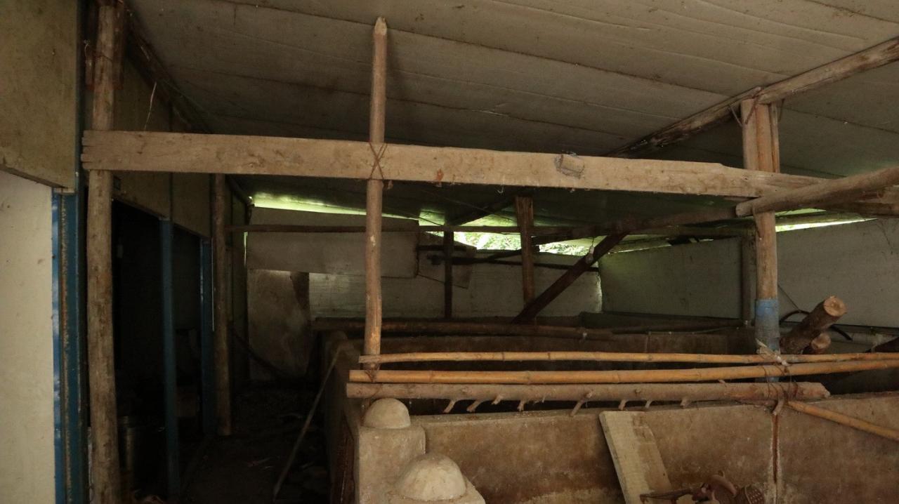 BIM建筑|在半山崖的废弃鸡棚,用峰峦“盖”一座共享工厂 / 时地建筑 BIM建筑|在半山崖的废弃鸡棚,用峰峦“盖”一座共享工厂 / 时地建筑