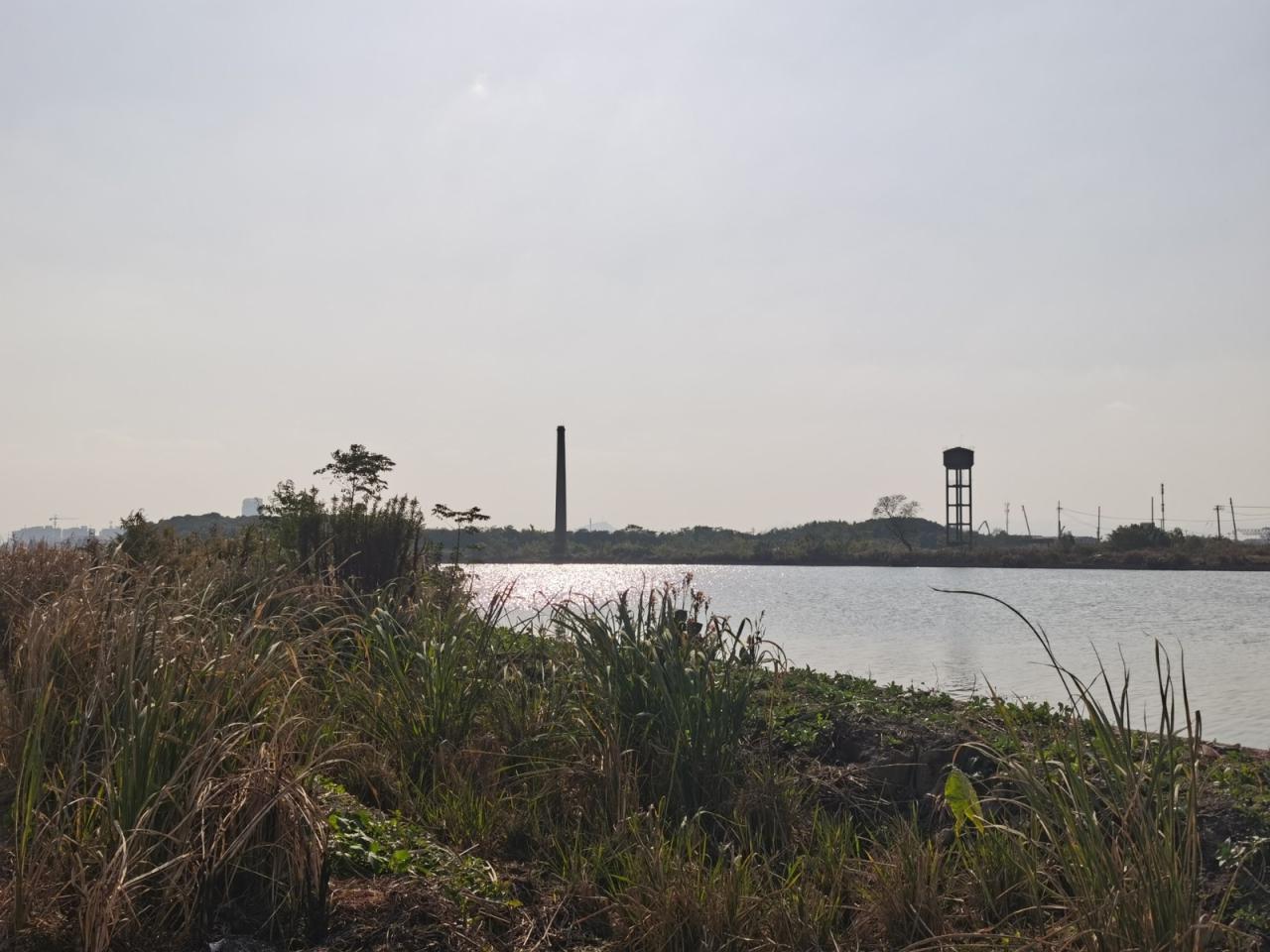 BIM建筑|绍兴黄酒小镇会客厅 / gad BIM建筑|绍兴黄酒小镇会客厅 / gad