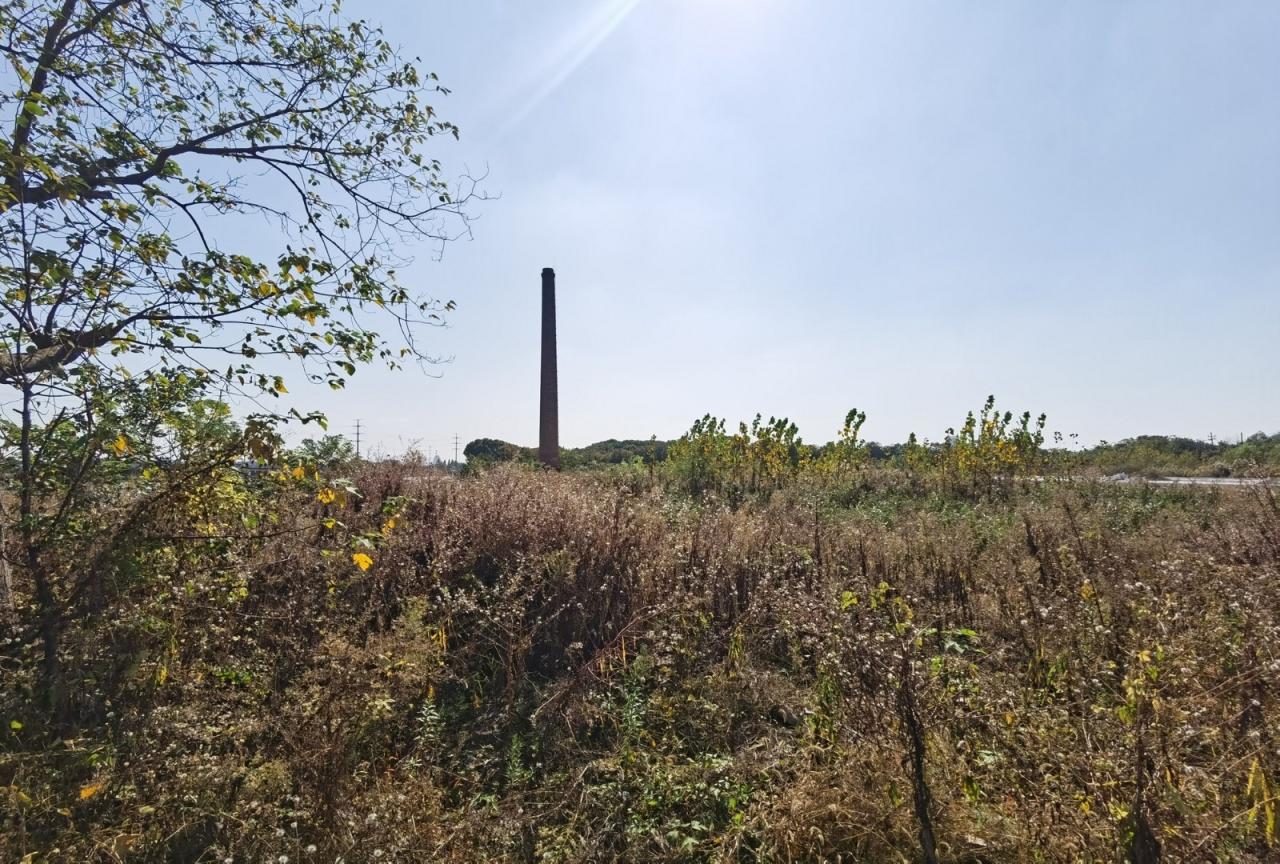 BIM建筑|绍兴黄酒小镇会客厅 / gad BIM建筑|绍兴黄酒小镇会客厅 / gad