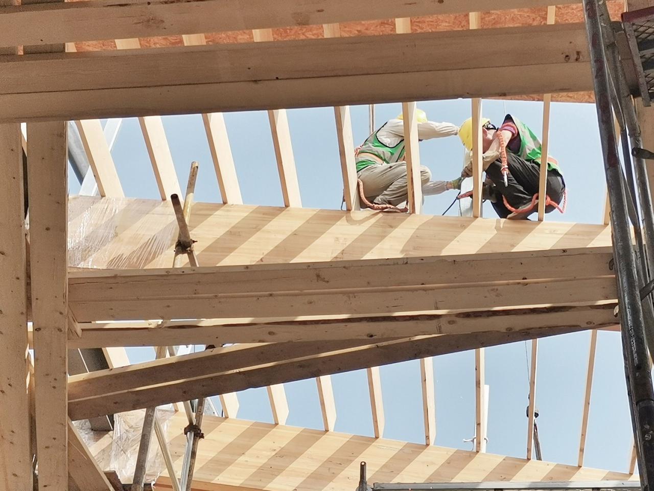 BIM建筑|木构建造设计一体化 l 宜宾白兰美学馆:建筑如何在地生长? BIM建筑|木构建造设计一体化 l 宜宾白兰美学馆:建筑如何在地生长?