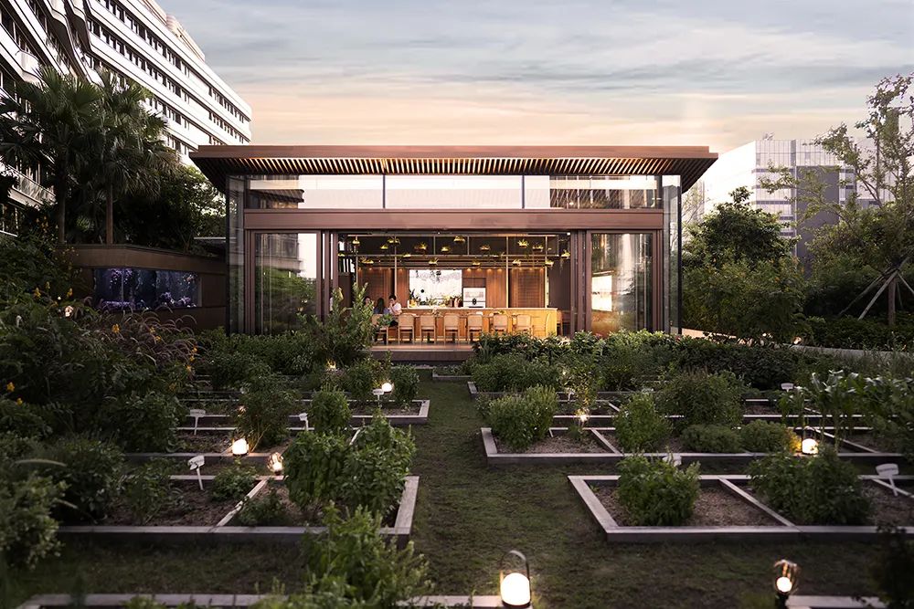 WAFC X α大会｜可持续智慧城市转型