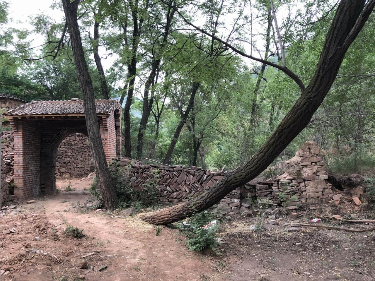 BIM建筑|与树和老土墙共生——军械库咖啡 / 三文建筑 BIM建筑|与树和老土墙共生——军械库咖啡 / 三文建筑