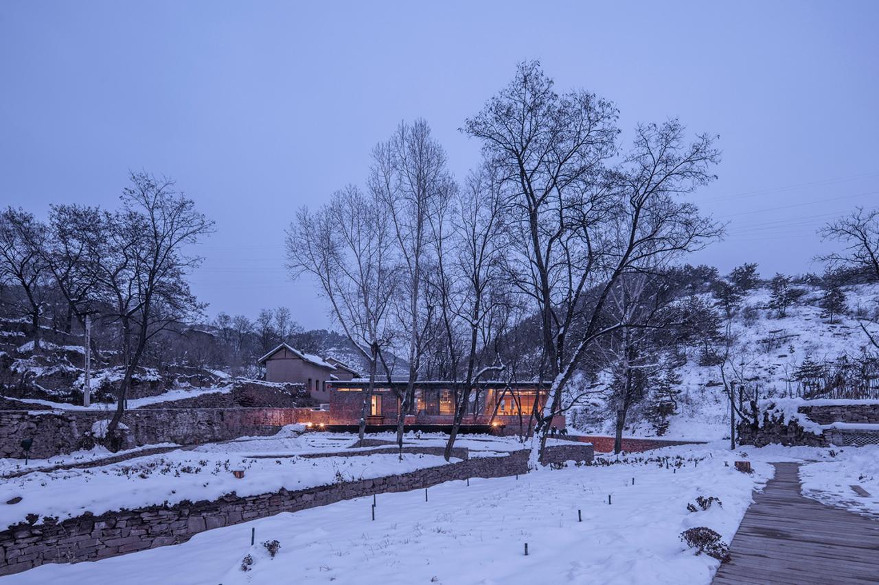 BIM建筑|与树和老土墙共生——军械库咖啡 / 三文建筑 BIM建筑|与树和老土墙共生——军械库咖啡 / 三文建筑