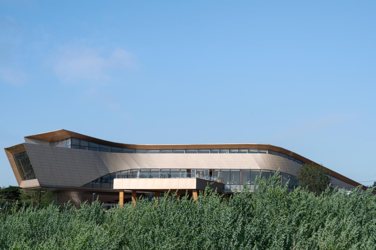 BIM建筑|木构建造设计一体化 l 宜宾白兰美学馆:建筑如何在地生长? BIM建筑|木构建造设计一体化 l 宜宾白兰美学馆:建筑如何在地生长?