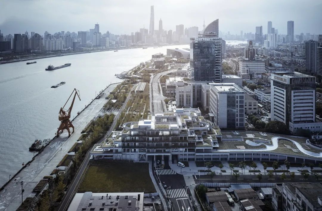 WAFC X α大会｜可持续智慧城市转型