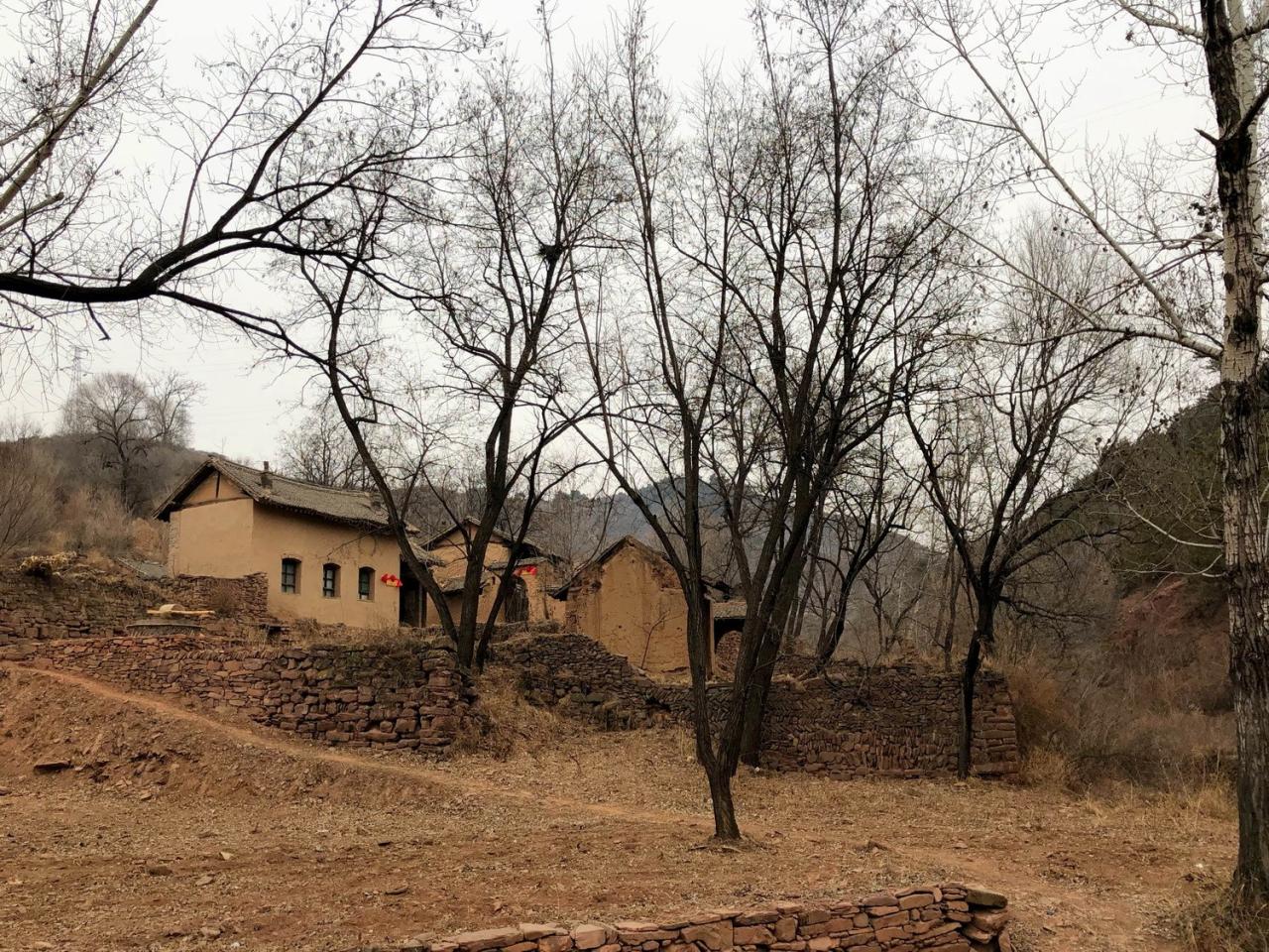 BIM建筑|与树和老土墙共生——军械库咖啡 / 三文建筑 BIM建筑|与树和老土墙共生——军械库咖啡 / 三文建筑