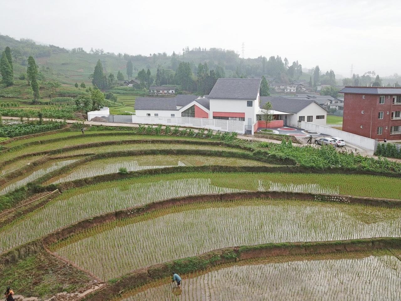 BIM建筑|大坪乡幼儿园 / 东意建筑 BIM建筑|大坪乡幼儿园 / 东意建筑