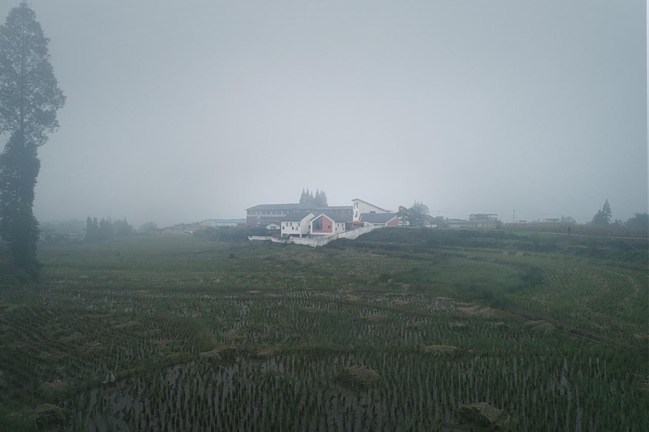 BIM建筑|大坪乡幼儿园 / 东意建筑 BIM建筑|大坪乡幼儿园 / 东意建筑