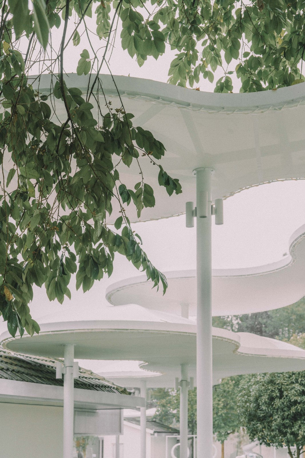 BIM建筑|大鱼云海妈妈农场 / 梦想改造家 BIM建筑|大鱼云海妈妈农场 / 梦想改造家