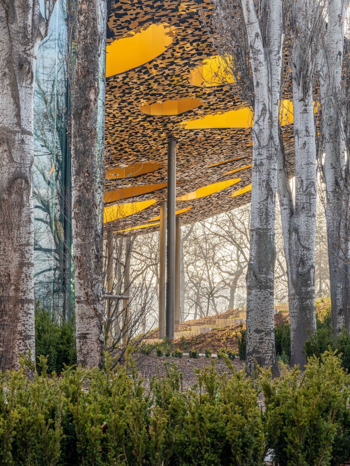 BIM建筑|匈牙利“音乐之家”正式开放 / 藤本壮介 BIM建筑|匈牙利“音乐之家”正式开放 / 藤本壮介