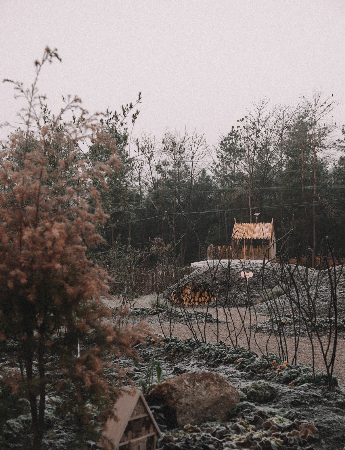 BIM建筑|大鱼云海妈妈农场 / 梦想改造家 BIM建筑|大鱼云海妈妈农场 / 梦想改造家