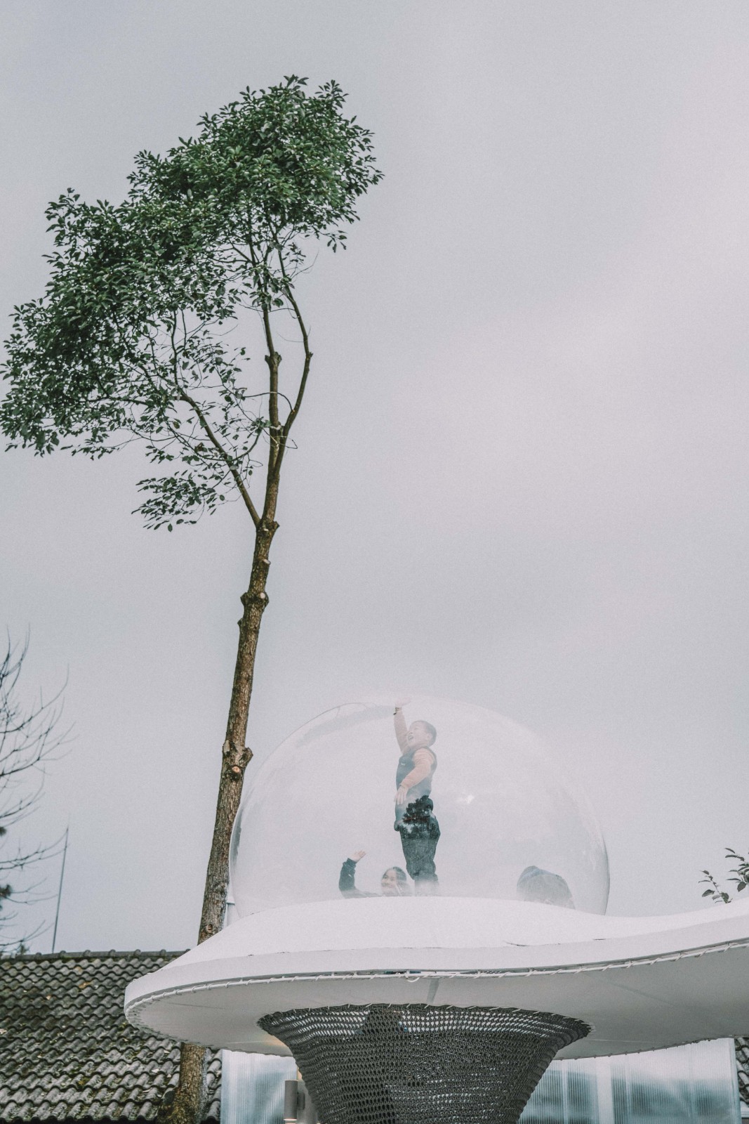 BIM建筑|大鱼云海妈妈农场 / 梦想改造家 BIM建筑|大鱼云海妈妈农场 / 梦想改造家