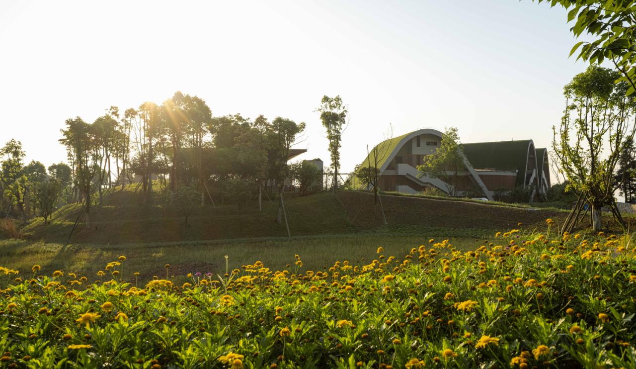 BIM建筑|重庆玉峰山慢屋•青麦庄园建筑设计 / IDO元象建筑 BIM建筑|重庆玉峰山慢屋•青麦庄园建筑设计 / IDO元象建筑