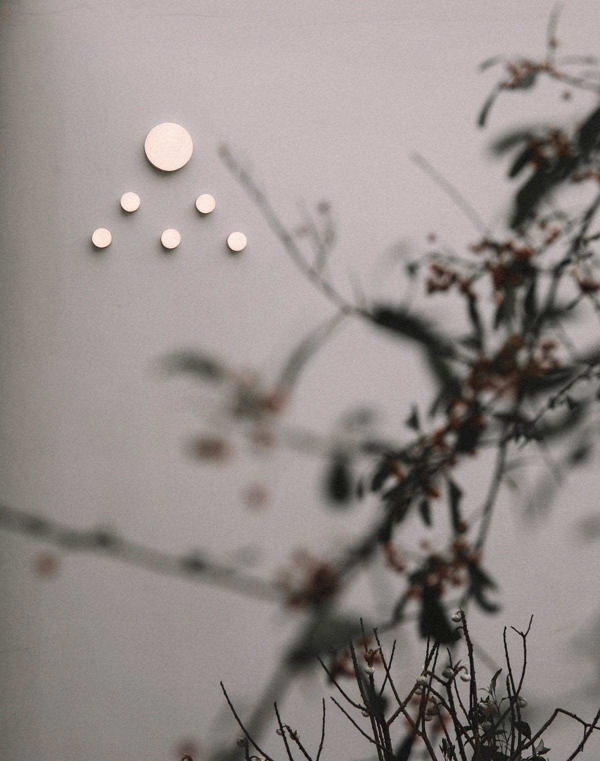 BIM建筑|大鱼云海妈妈农场 / 梦想改造家 BIM建筑|大鱼云海妈妈农场 / 梦想改造家